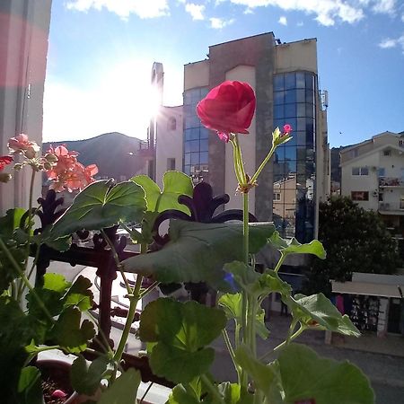 Kiwi Apartments Budva Exterior foto